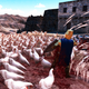 Illustration for article titled Battle Simulator Is Chickens vs Penguins vs Dwarves vs Chuck Norris